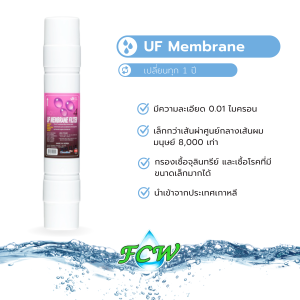UF Membrane Filter